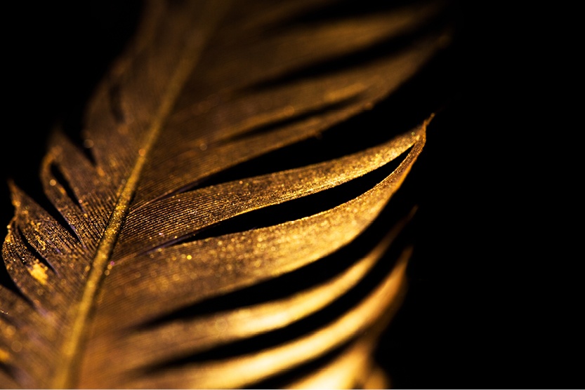 feather